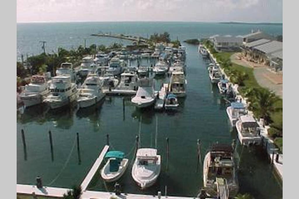 Licensed Mgr - 2/2 Villa - Oceanfront Beach Resort - Saltwater Lagoon & Marina! Κι Λάργκο Εξωτερικό φωτογραφία