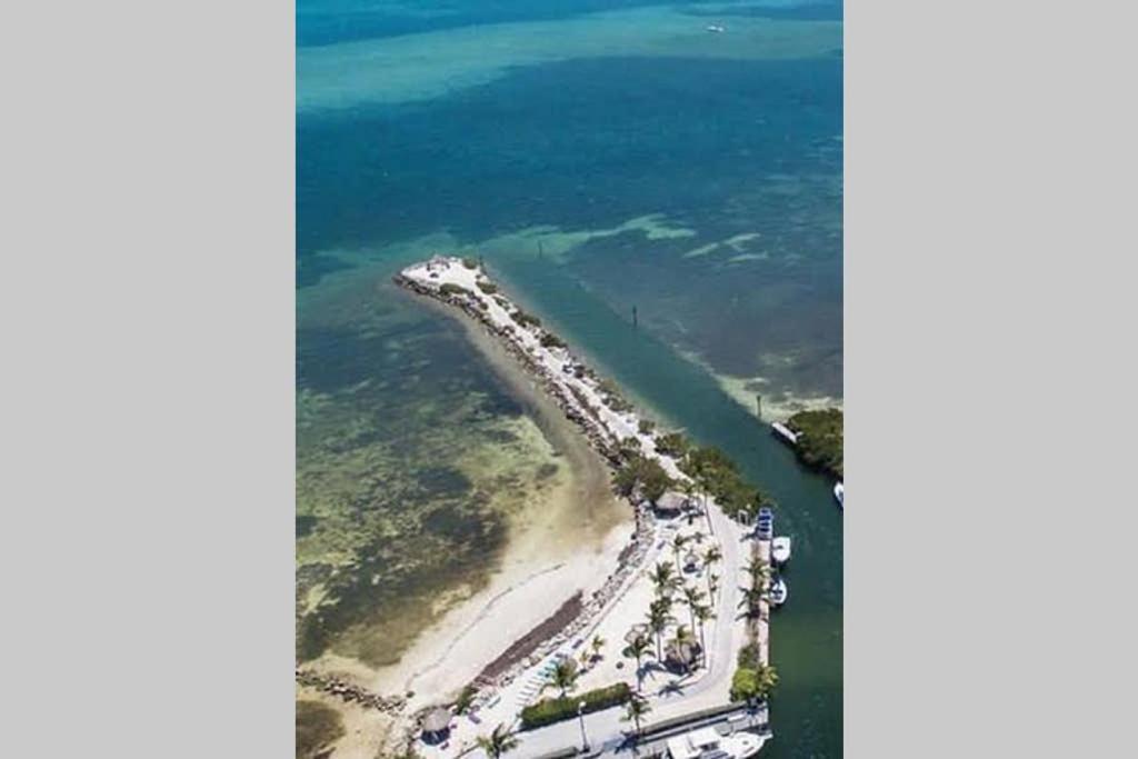 Licensed Mgr - 2/2 Villa - Oceanfront Beach Resort - Saltwater Lagoon & Marina! Κι Λάργκο Εξωτερικό φωτογραφία